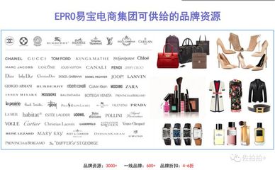 香港易宝电商集团代表莅临海南国际热带农产品拍卖中心开展合作